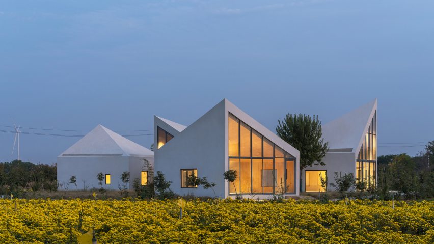 The Library in Ice-Chrysanthemum Field by Atelier Xi
