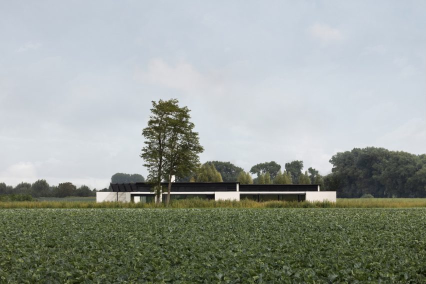 House in the Fields by Stef Claes