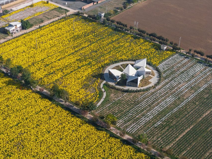 The Library in Ice-Chrysanthemum Field by Atelier Xi