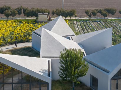 Rooftop view of The Library in Ice-Chrysanthemum Field in Henan Province
