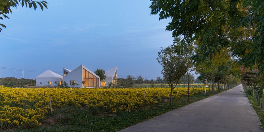 The Library in Ice-Chrysanthemum Field by Atelier Xi