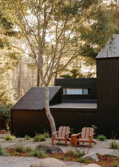 Buildings clad in blackened wood and topped with monopitched roofs