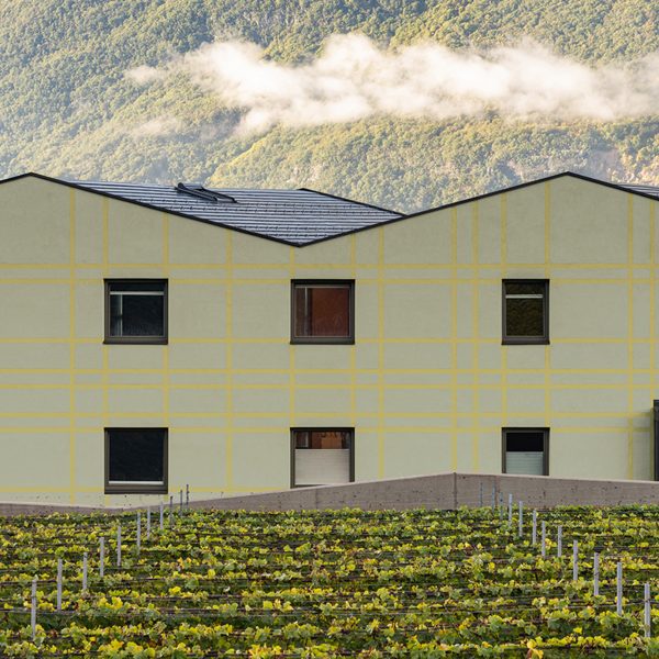 Tartan School's patterned facade