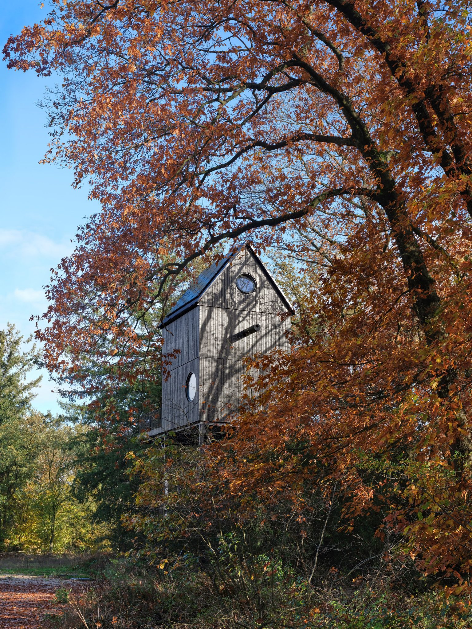 bird nest-looking wooden home sits among the trees
