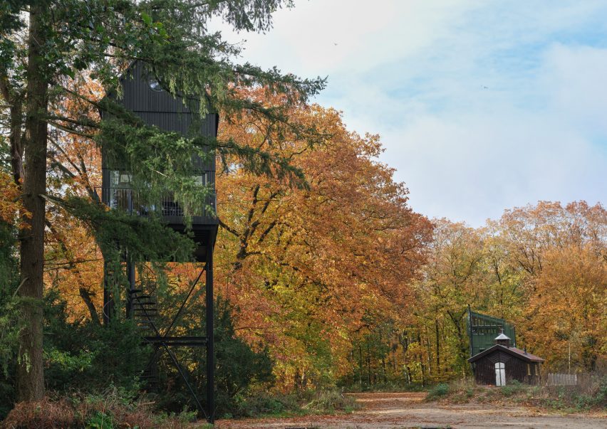 Wooden home blends in with the trees around