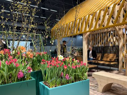 planters with tulips in front of wooden pavilion