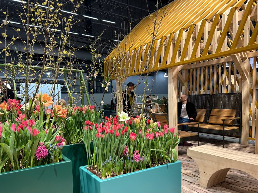 planters with tulips in front of wooden pavilion