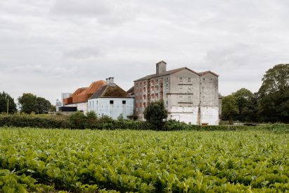 Industrial heritage setting of ODOS Architects' Church Oak Distillery in Ireland