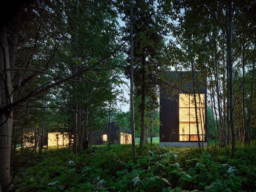 House glowing in forest