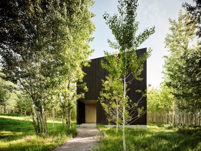 Angular structure in forest
