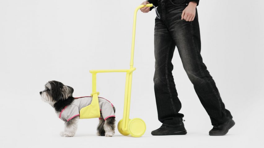 Seatbelts inform Steady walking aid for elderly dogs