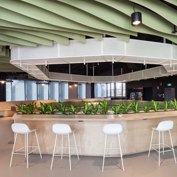 Frontier acoustic ceiling panels by Autex Acoustics