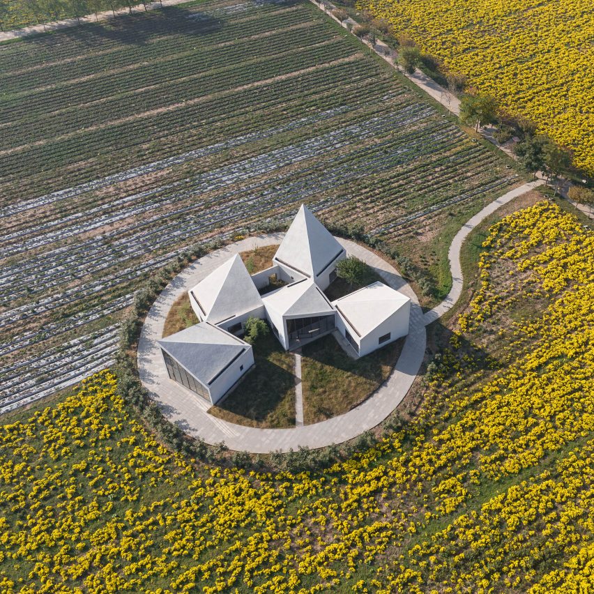 The Library in Ice-Chrysanthemum Field by Atelier Xi