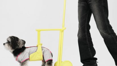 Seatbelts inform Steady walking aid for elderly dogs
