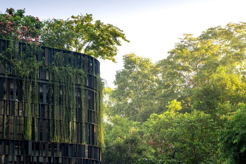 Touching Eden House by Wallflower Architecture + Design