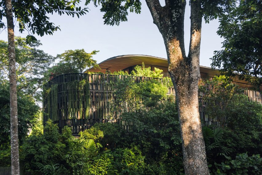 Touching Eden House by Wallflower Architecture + Design
