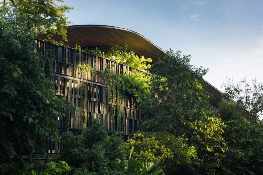 Touching Eden House by Wallflower Architecture + Design