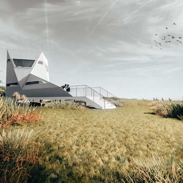 Visualisation showing a structure in a field