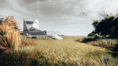 Visualisation showing a structure in a field