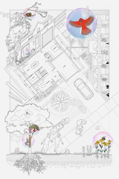 Presentation board showing a house floor plan and various other drawings
