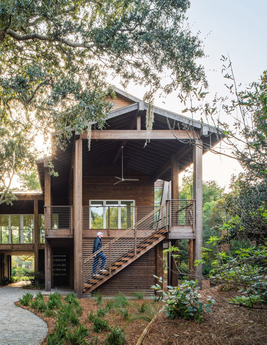 A house surrounded by vegetation