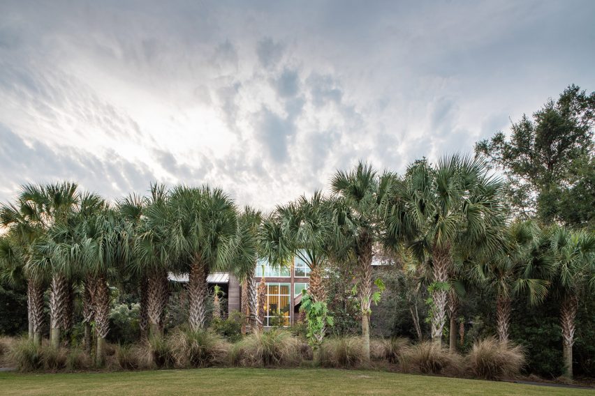 Trees surrounding house