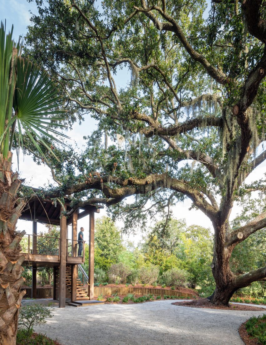 A large tree next to a house