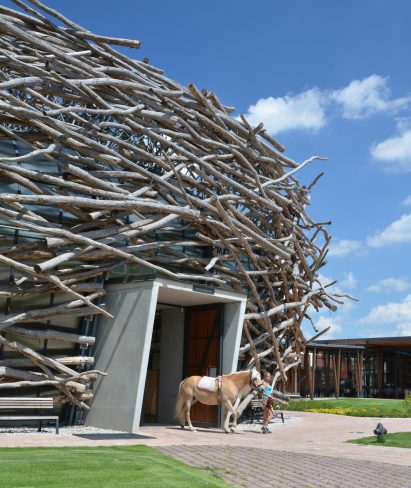 Nest-shaped building