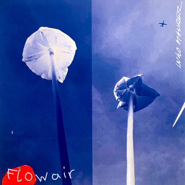 Graphic of flowers for Flowair by Ingo Maurer