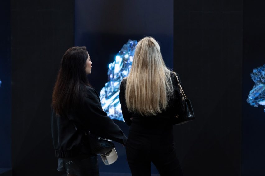 Visitors looking at Neogene collection