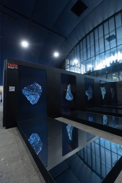 Neogene collection at NFT Paris
