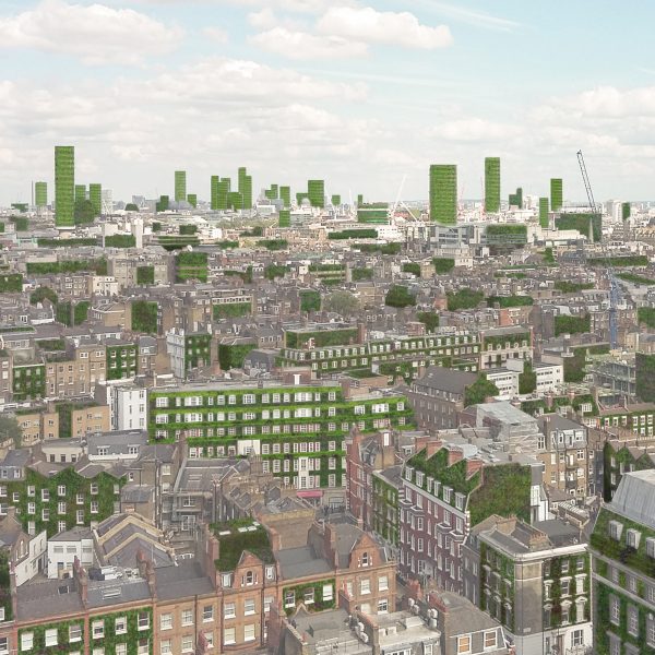 Aerial view drawing of project