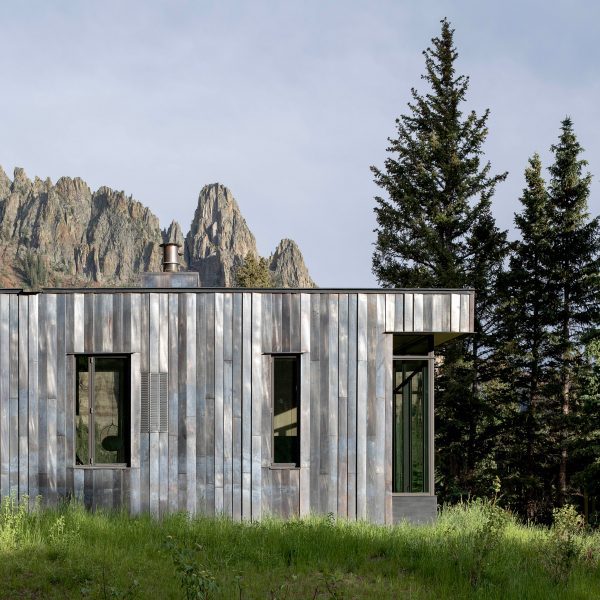 DNA Alpine