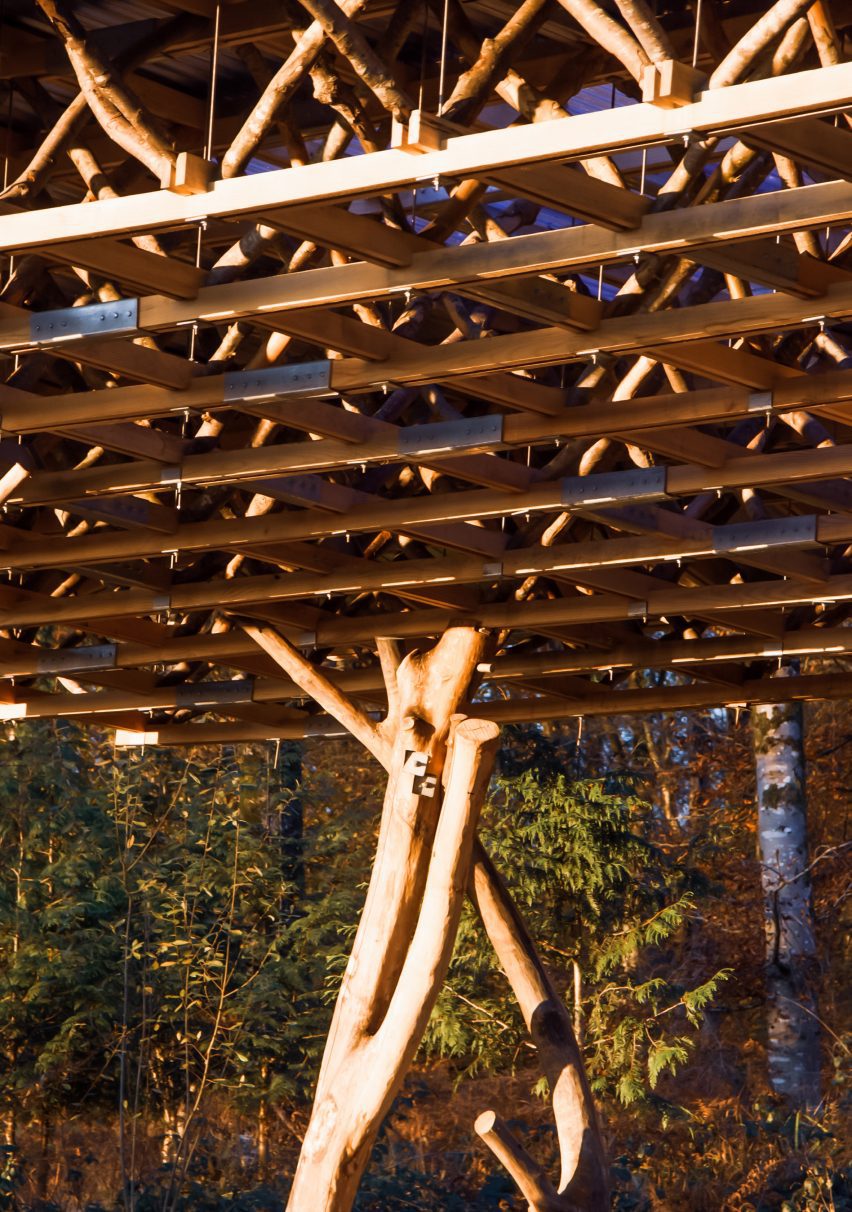 Field Station by Architectural Association students
