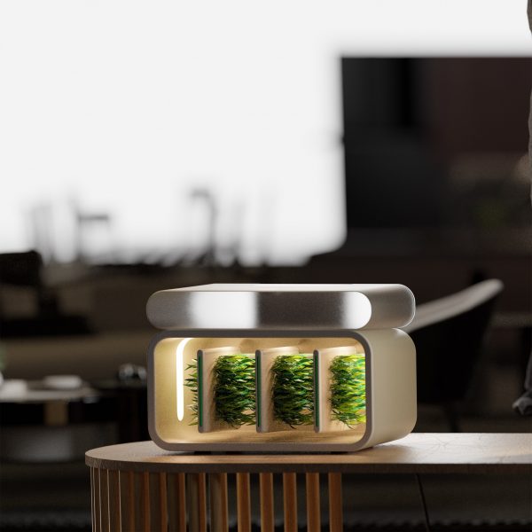 Small device on table which has plants inside it