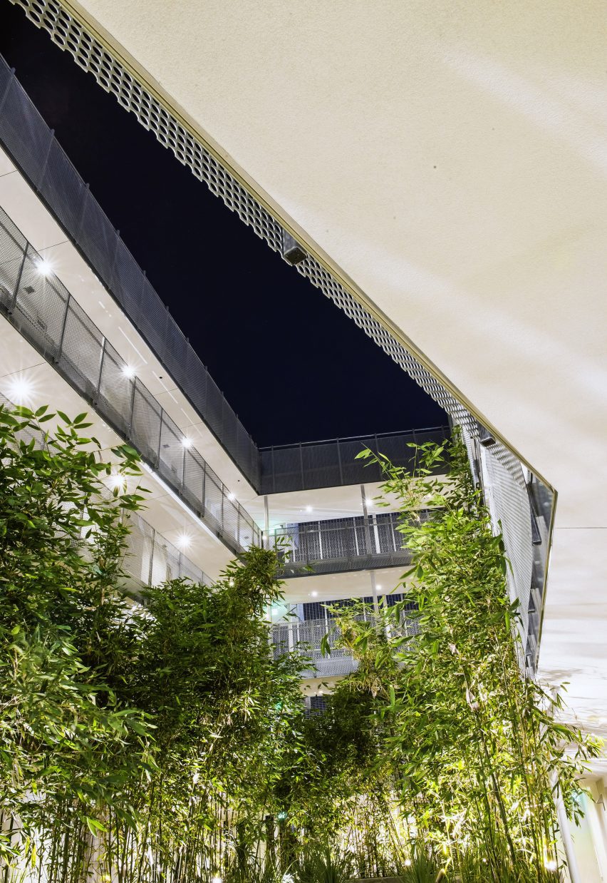 Bushes in courtyard Bran Arifin