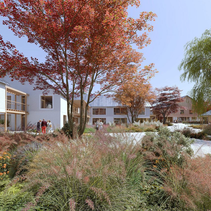 Plants surrounding building