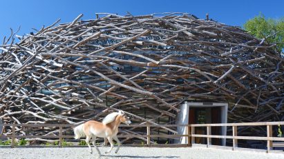 Nest-shaped architecture