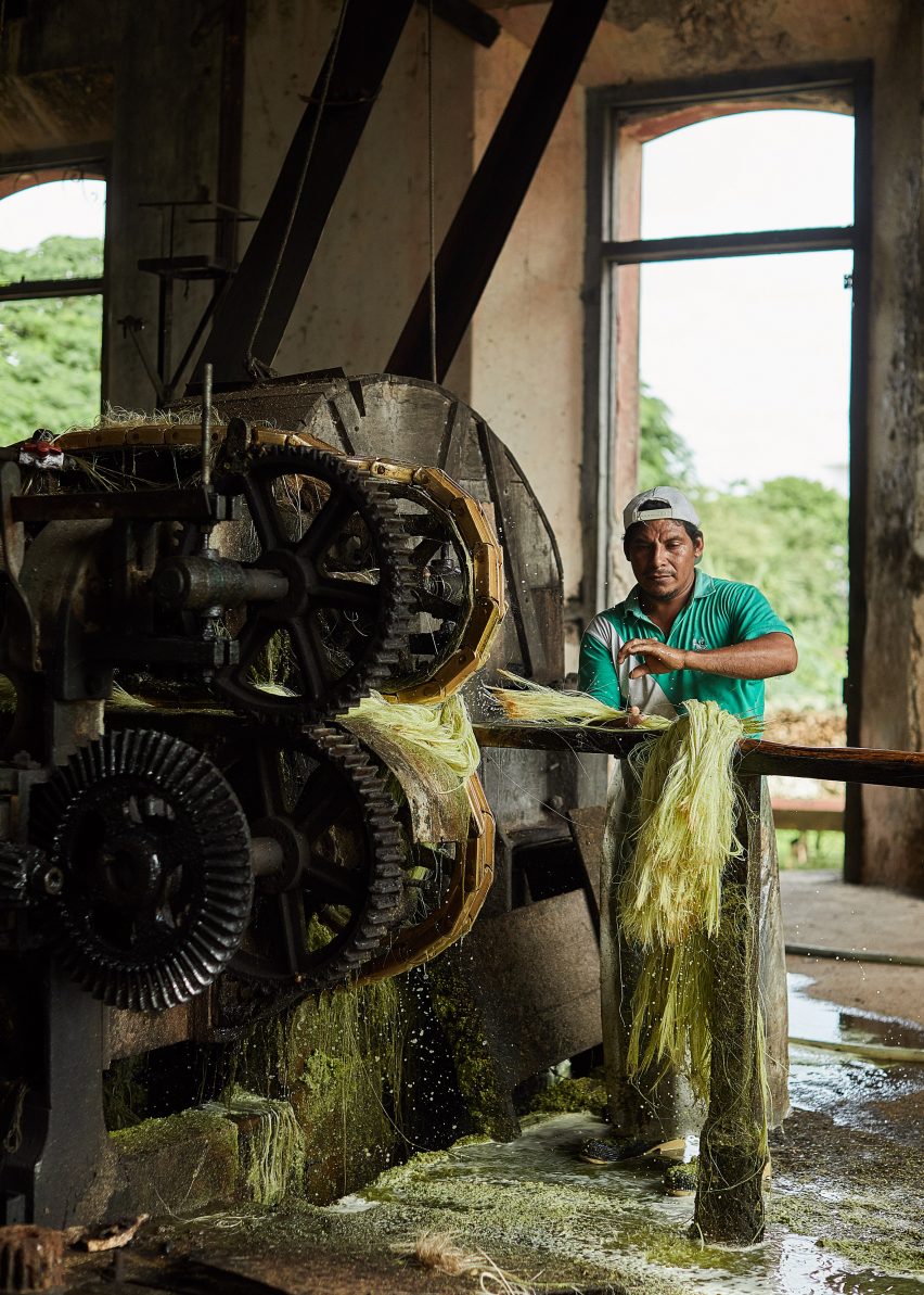 Agave textile production in Mexico