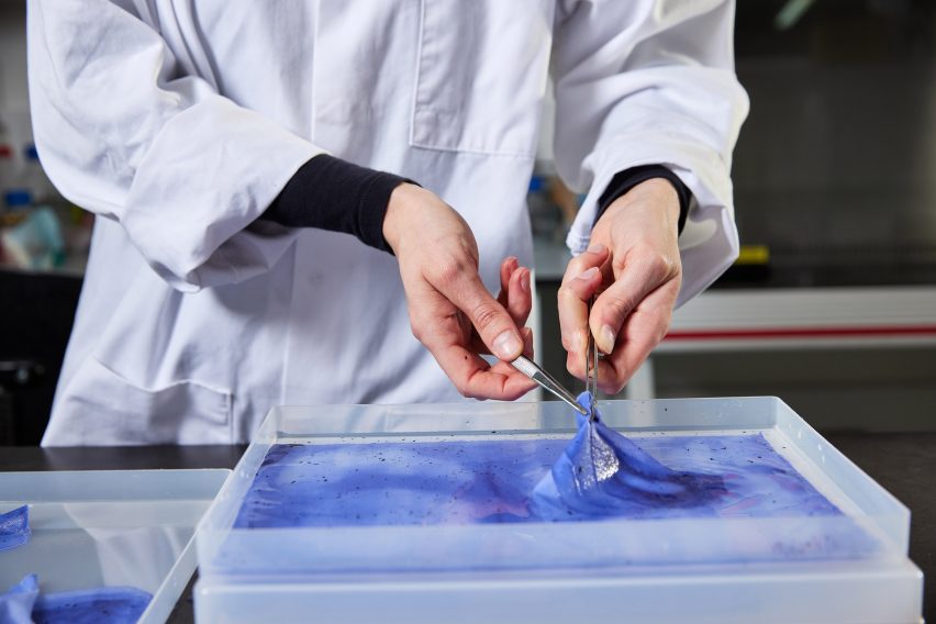 Charlotte Werth has developed a printing process that uses bacteria to create pigments