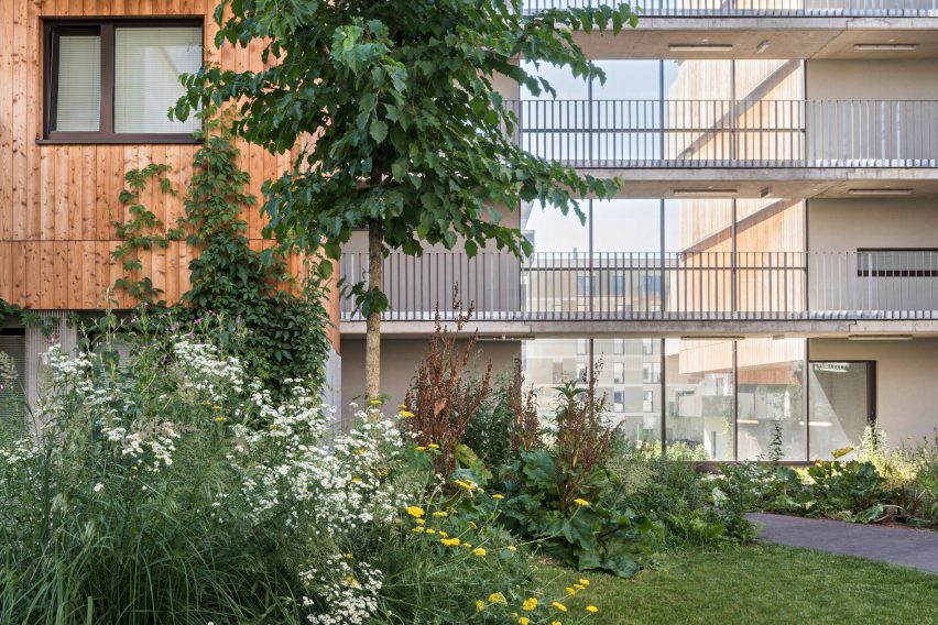 Greenery at Seedstadt Aspern Housing