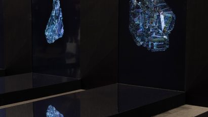 Neogene collection for Taex