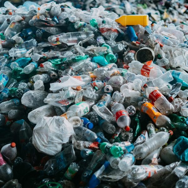 Abolish plastics