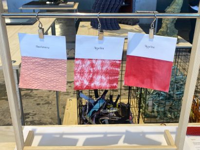 algae fabric