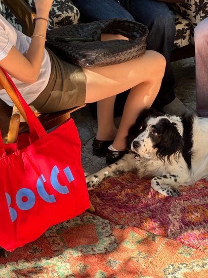 Dog looking at tote