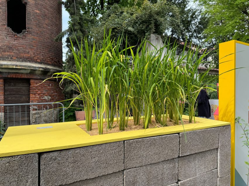 carlo ratti sunrice installation