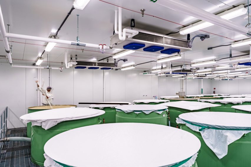 Rice facility
