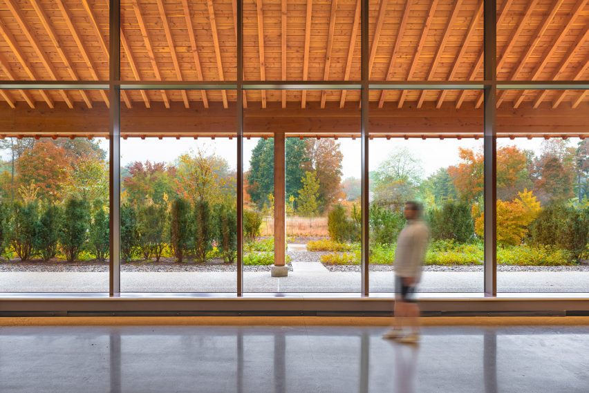 Person walking in front of windows