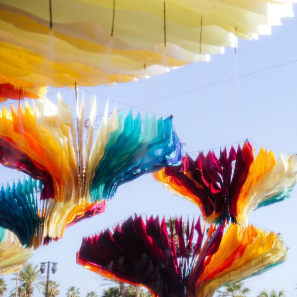 Floating mushrooms made from fabric