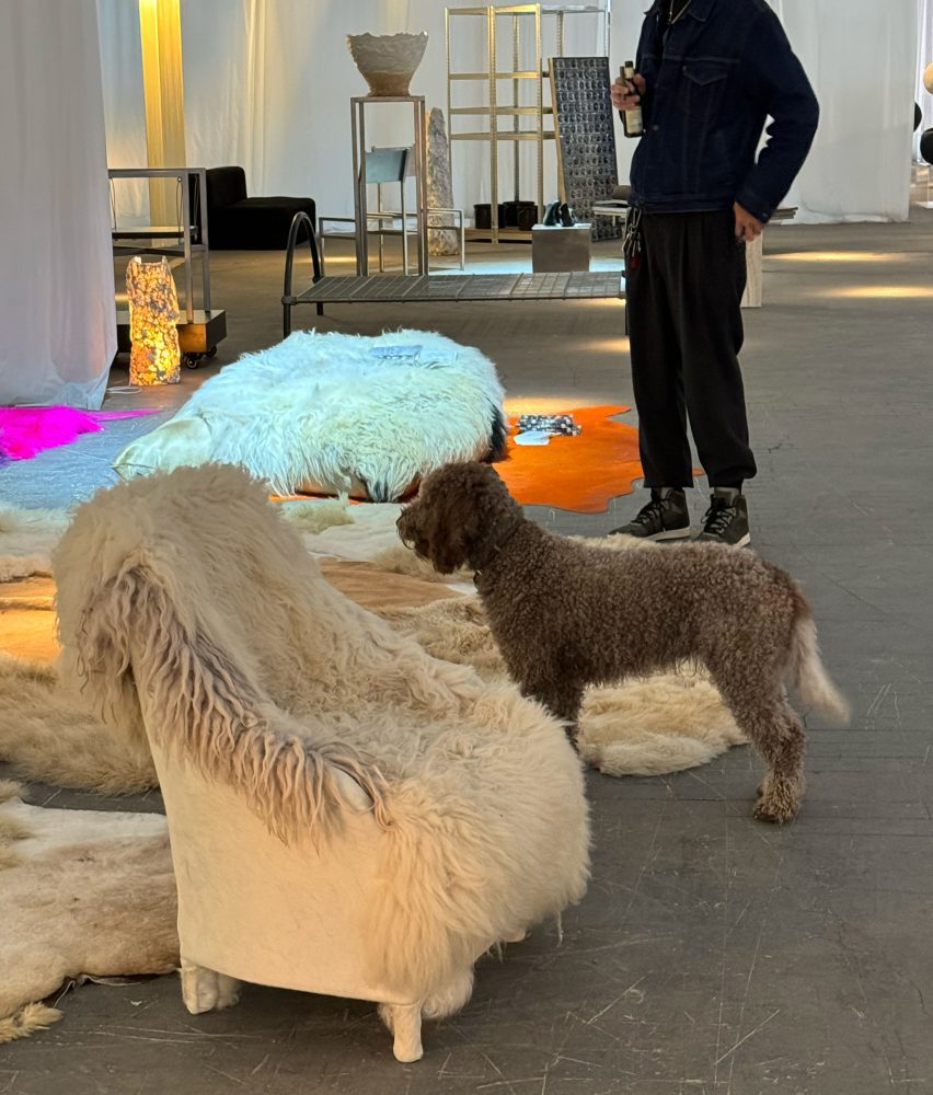 dog chair